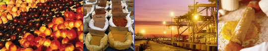 Kosher Food Certification